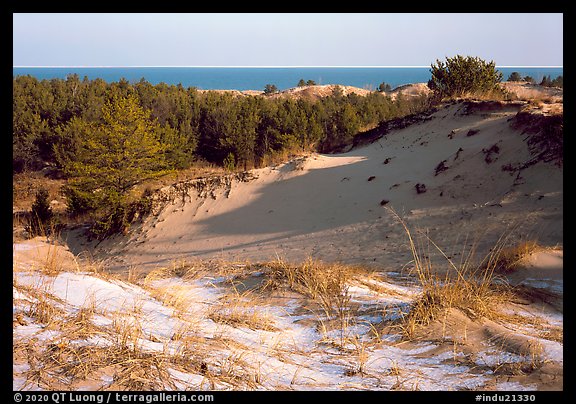 Dunes and Lake Michigan, Dune Succession Trail. Indiana Dunes National Park, Indiana, USA.