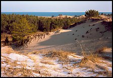 Dunes and Lake Michigan, Dune Succession Trail. Indiana Dunes National Park ( color)