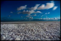 Shelf ice and Lake Michigan by moonlight, West Beach. Indiana Dunes National Park, Indiana, USA.