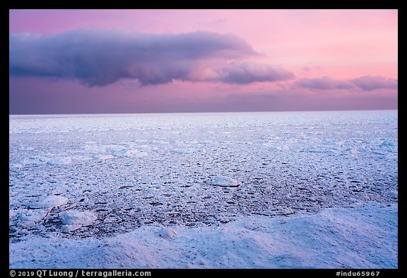 Frozen Lake Michigan from base of Mount Baldy. Indiana Dunes National Park (color)