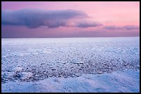 Frozen Lake Michigan from base of Mount Baldy. Indiana Dunes National Park ( color)