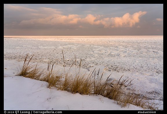 Dune grass, snow, and Frozen Lake Michigan, Mount Baldy Trail. Indiana Dunes National Park (color)