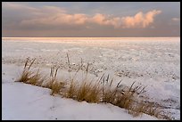 Dune grass, snow, and Frozen Lake Michigan, Mount Baldy Trail. Indiana Dunes National Park ( color)