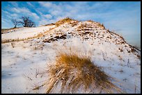 Mount Baldy dune and grass with snow. Indiana Dunes National Park ( color)