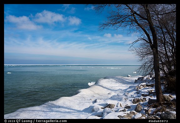 Trees on snowy lakeshore, Lake View. Indiana Dunes National Park (color)