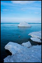 Shelf ice and iceberg, Lake View. Indiana Dunes National Park ( color)