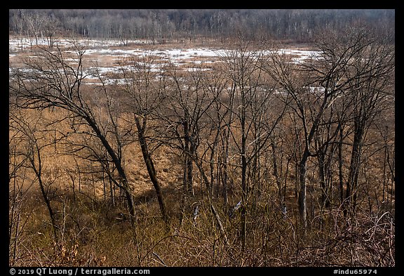 Great Marsh from Dune Ridge Trail. Indiana Dunes National Park (color)