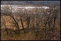 Great Marsh from Dune Ridge Trail. Indiana Dunes National Park ( color)