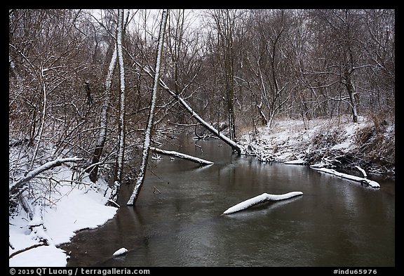 Little Calumet River with fresh snow, Heron Rookery Trail. Indiana Dunes National Park (color)