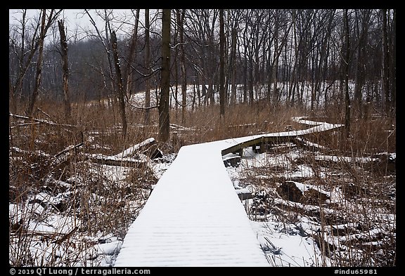 Snow-covered boardwalk, Little Calumet River Trail. Indiana Dunes National Park, Indiana, USA.