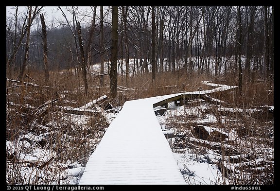 Snow-covered boardwalk, Little Calumet River Trail. Indiana Dunes National Park (color)