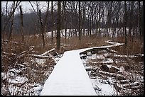 Snow-covered boardwalk, Little Calumet River Trail. Indiana Dunes National Park ( color)