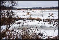 Cowles Bog. Indiana Dunes National Park ( color)