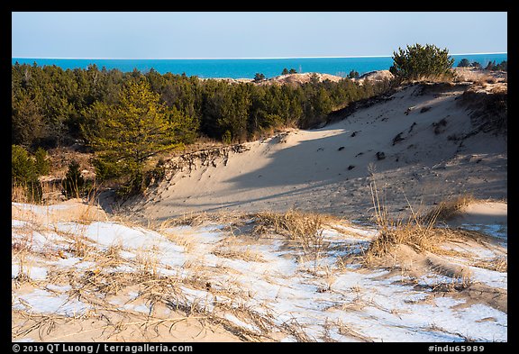 Dunes and Lake Michigan, Dune Succession Trail. Indiana Dunes National Park (color)