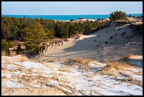 Pictures of Indiana Dunes