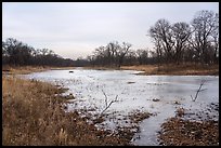 Frozen pond and oak savanna, Paul Douglas Trail. Indiana Dunes National Park ( color)