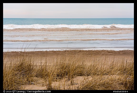 Dune, Marram Grass, and beach with shelf ice, Paul Douglas Trail. Indiana Dunes National Park (color)