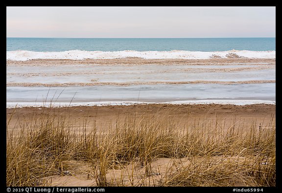 Dune, Marram Grass, and beach with shelf ice, Paul Douglas Trail. Indiana Dunes National Park, Indiana, USA.