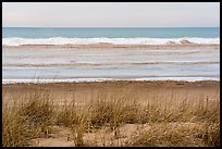 Dune, Marram Grass, and beach with shelf ice, Paul Douglas Trail. Indiana Dunes National Park ( color)