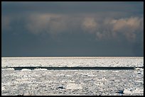 Frozen Lake Michigan. Indiana Dunes National Park ( color)