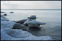 Lakeshore with shelf ice. Indiana Dunes National Park ( color)