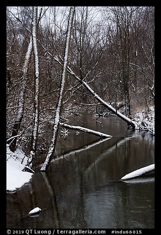 Little Calumet River in winter, Heron Rookery. Indiana Dunes National Park (color)