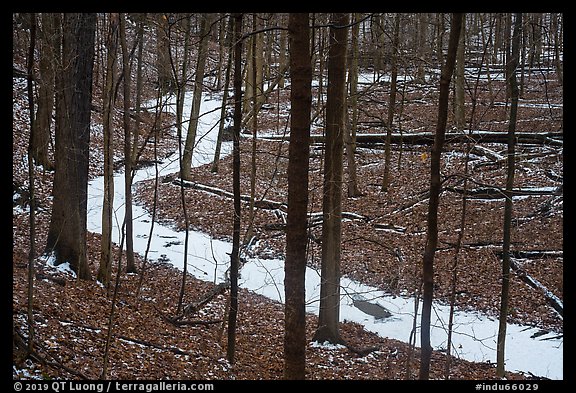 Frozen stream in ravine near Chellberg Farm. Indiana Dunes National Park (color)