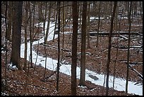 Frozen stream in ravine near Chellberg Farm. Indiana Dunes National Park ( color)