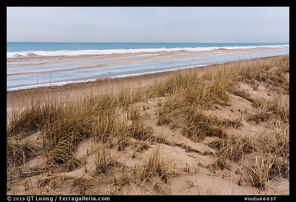 Grasses, dunes, and beach in winter. Indiana Dunes National Park (color)