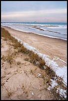 Dune, grasses, beach, and ice. Indiana Dunes National Park ( color)