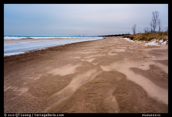 Sandy beach in winter. Indiana Dunes National Park (color)