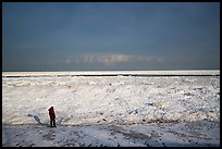 Visitor looking, Mt Baldy Beach. Indiana Dunes National Park, Indiana, USA.