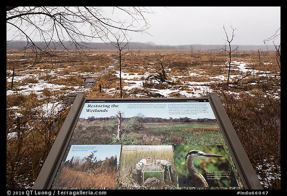 Restoring wetlands interpretive sign. Indiana Dunes National Park (color)