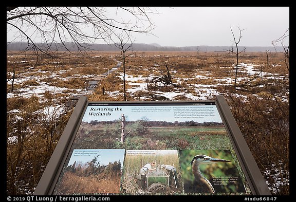 Restoring wetlands interpretive sign. Indiana Dunes National Park, Indiana, USA.