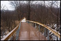 Boardwalk, Cowles Bog Trail. Indiana Dunes National Park ( color)