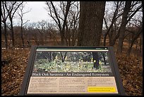 Black Oak Savanna interpretive sign. Indiana Dunes National Park ( color)