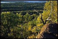 View over forests from Mount Franklin. Isle Royale National Park, Michigan, USA.