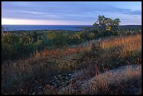 View from the Greenstone ridge. Isle Royale National Park, Michigan, USA. (color)