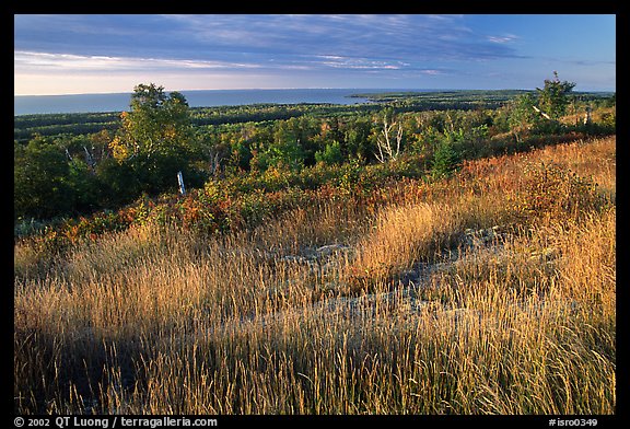 Grasses, distant forest and Lake Superior from  Greenstone ridge. Isle Royale National Park, Michigan, USA.