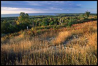 Grasses, distant forest and Lake Superior from  Greenstone ridge. Isle Royale National Park, Michigan, USA. (color)