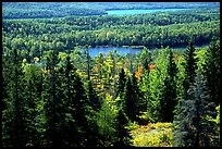 Lake Ojibway. Isle Royale National Park, Michigan, USA.