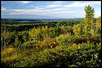 View from Greenstone ridge, looking towards Siskiwit lake. Isle Royale National Park, Michigan, USA.