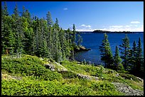 Coast on Rock Harbor trail. Isle Royale National Park, Michigan, USA.