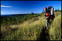 Backpacker pausing on Greenstone ridge trail. Isle Royale National Park, Michigan, USA. (color)