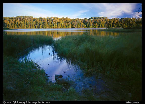 Grasses and East Chickenbone Lake. Isle Royale National Park (color)