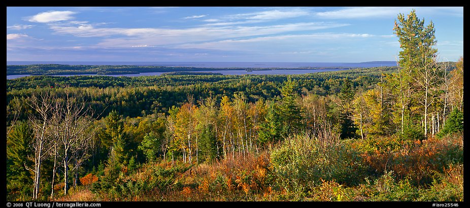 Fall landscape with forest stretching to lakeshore. Isle Royale National Park, Michigan, USA.