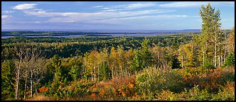 Fall landscape with forest stretching to lakeshore. Isle Royale National Park (Panoramic color)