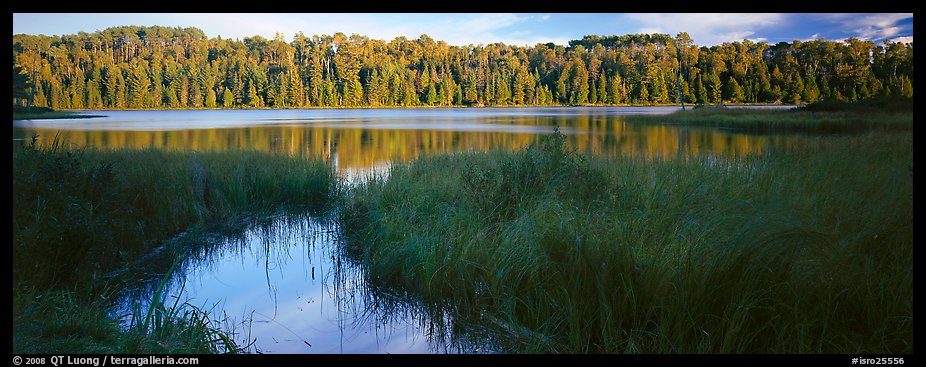 Forest landscape with grasses and lake. Isle Royale National Park, Michigan, USA.