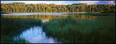 Forest landscape with grasses and lake. Isle Royale National Park (Panoramic color)
