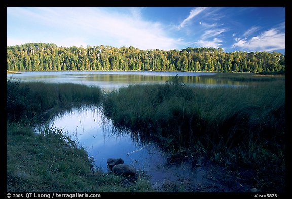 East Chickenbone Lake. Isle Royale National Park (color)